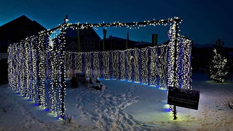 lumiere christmas lights