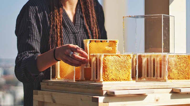woman and honeycomb