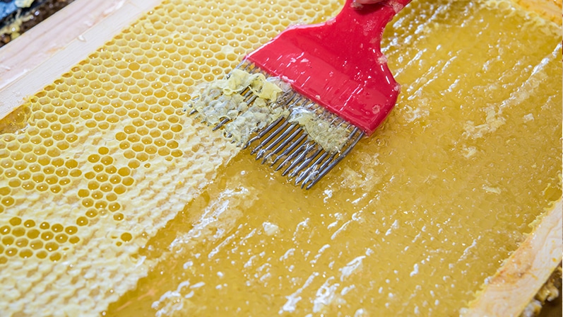 Honey from urban beekeeping hives
