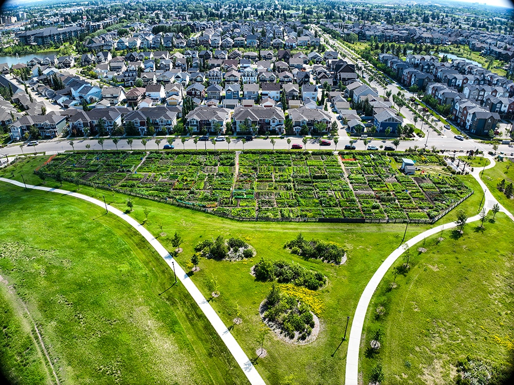 Aerial View of the Community Garden / Vue aérienne du jardin communautaire