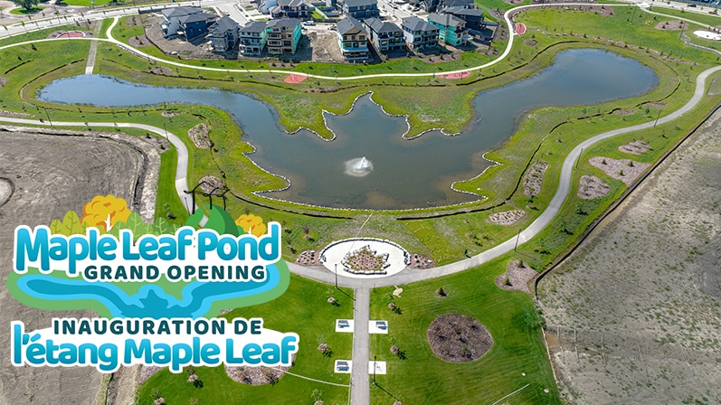 Maple Leaf Pond aerial view / Vue aérienne de l'étang Maple Leaf
