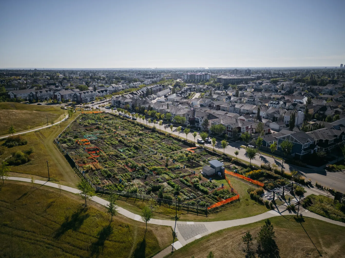 Aerial view of the community gardens in Village at Griesbach