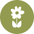 garden flower icon